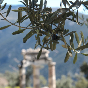 fly and drive in GRECIA CLASSICA noleggio auto escursioni tour organizzati visite guidate archeologia pericle